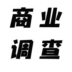 广州商业调查