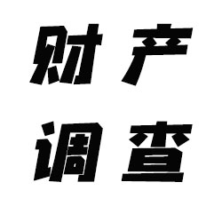 广州财产调查